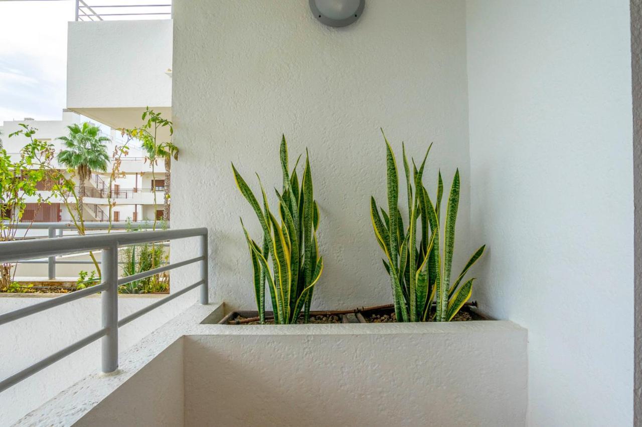 Cb Living - Modern Apartment, Terrazas De Campoamor Dehesa de Campoamor  Dış mekan fotoğraf